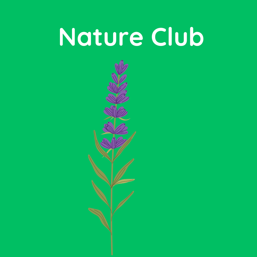 nature club