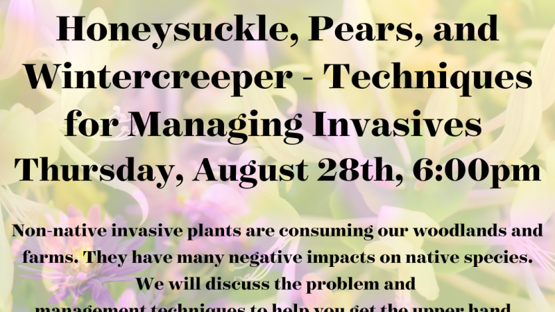 aug 28 2024