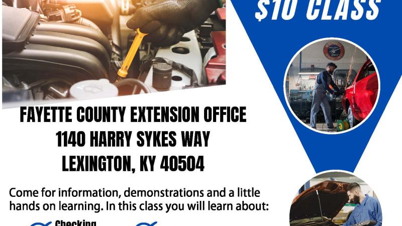 Car Care June 29