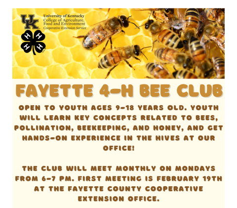 4-H Bee Club
